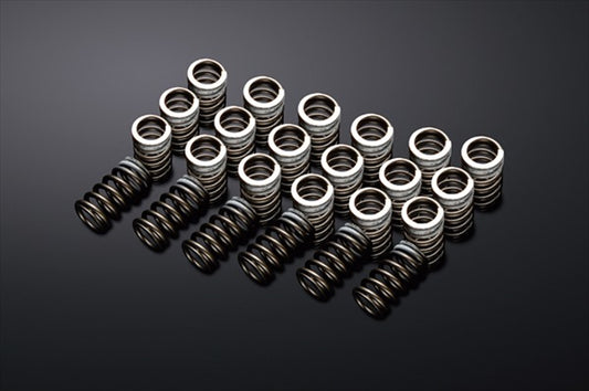 REIMAX Valve Spring Set - Skyline BNR32 BCNR33 BNR34