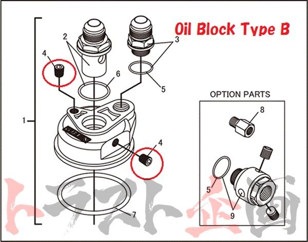 GReddy 1/8 PT Plug Bolt For Oil Block #618121015 - Trust Kikaku