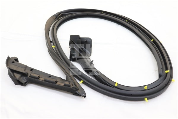 NISSAN Door Weatherstrip RH - Skyline R34 2Dr BNR34 #663101054