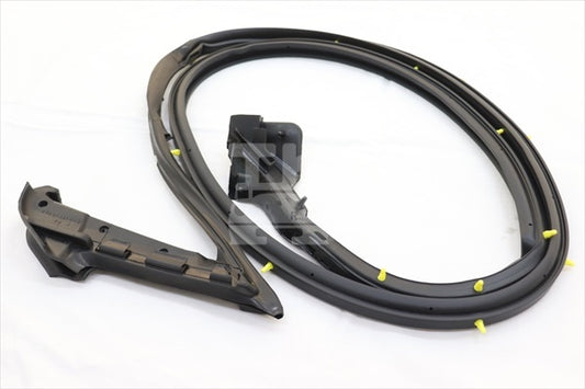Уплотнитель двери NISSAN, правая сторона - Skyline R34 2Dr BNR34 #663101054