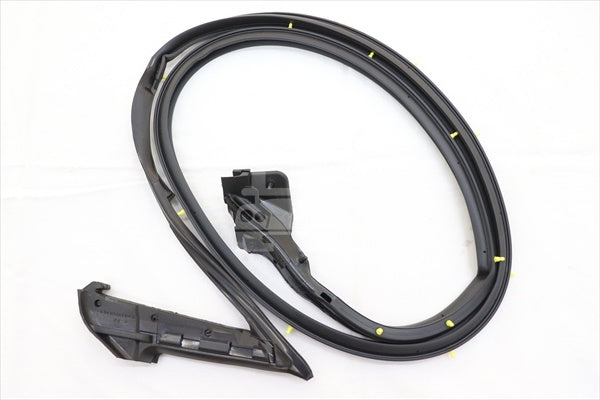 NISSAN Door Weatherstrip RH - Skyline R34 2Dr BNR34 #663101054
