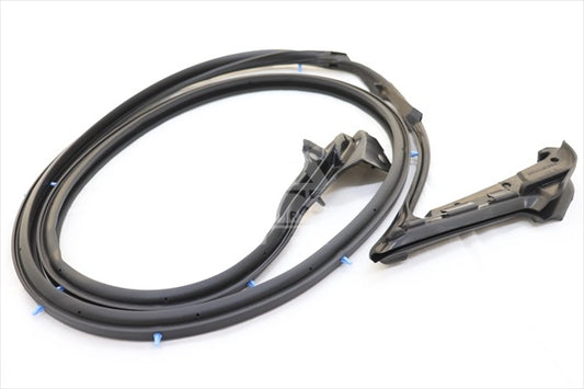 Уплотнитель двери NISSAN LH - Skyline R34 2 Dr BNR34 #663101055