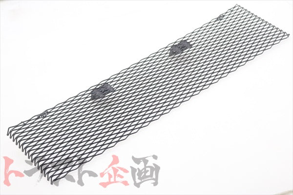NISSAN Front Lower Grille - BNR34 ##663101760