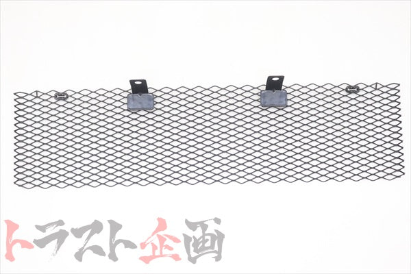 NISSAN Front Lower Grille - BNR34 ##663101760