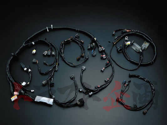 Midori Seibi Center Engine Main Harness - BNR32 ##843121037 - Trust Kikaku