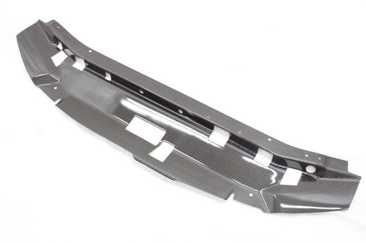 Garage Defend CFRP Cooling Panel - Skyline BNR34 ##318101001