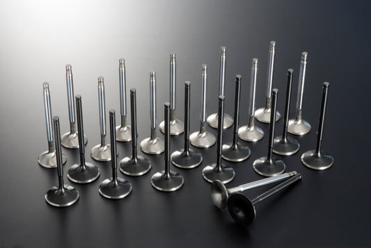 TOMEI Oversized Valve Set - BNR32 BCNR33 BNR34 ##612121484