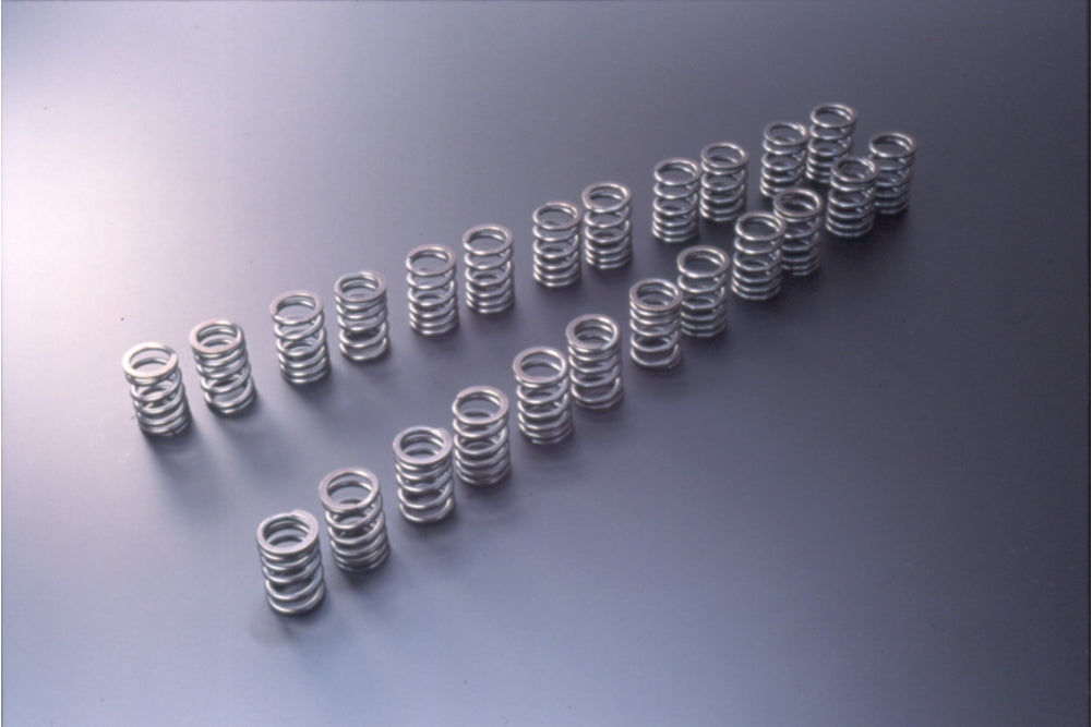 TOMEI POWERD Valve Springs Set Type-B - BNR32 BCNR33 BNR34 WGNC34 ##612121458