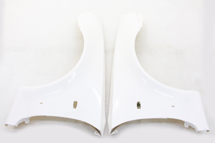 NISMO Z-tune Front Fender Kit - Skyline GTR R34 #660102038