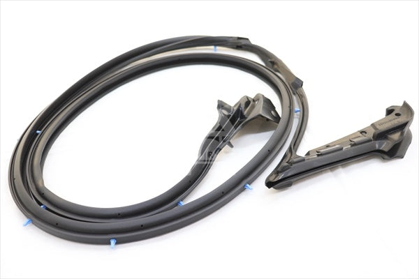 NISSAN Door Weatherstrip LH - Skyline R34 2 Dr BNR34 #663101055 NISSAN