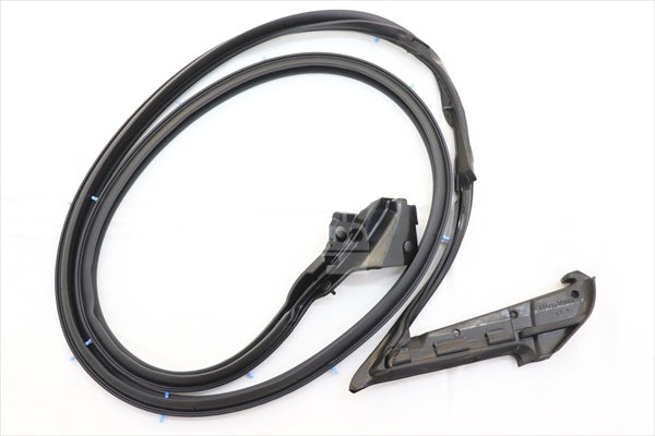 NISSAN Door Weatherstrip LH - Skyline R34 2 Dr BNR34 #663101055 NISSAN