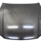 NISSAN Hood/Bonnet - Skyline BNR34 #663101050